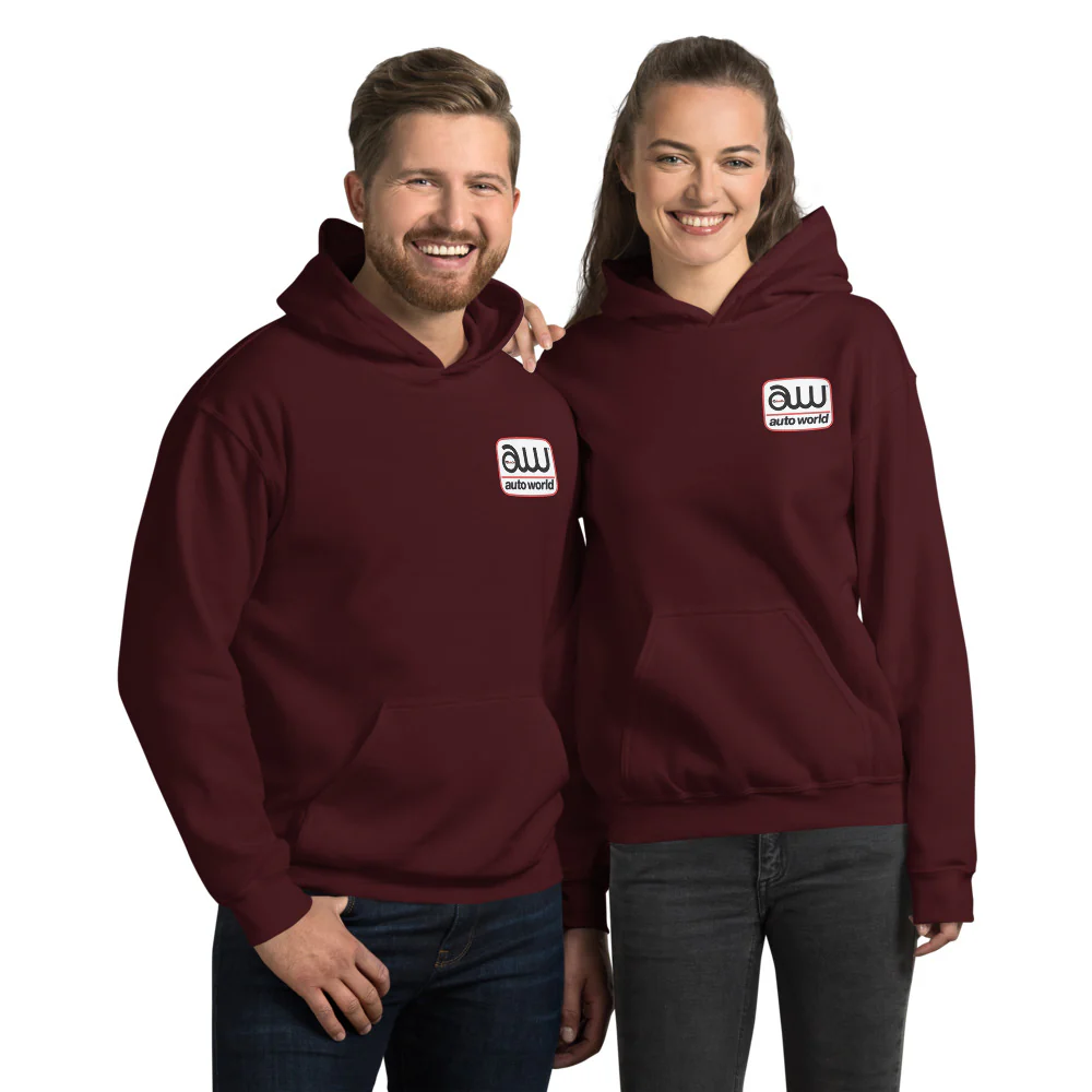 Auto World (Front and Back) Logo Hoodie - Image 4